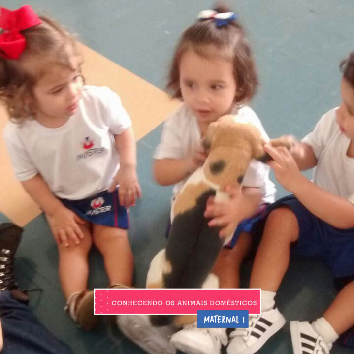 WhatsApp Image 2017-09-01 at 15.58.05