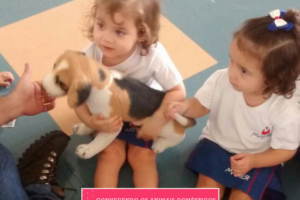 WhatsApp Image 2017-09-01 at 15.58.06