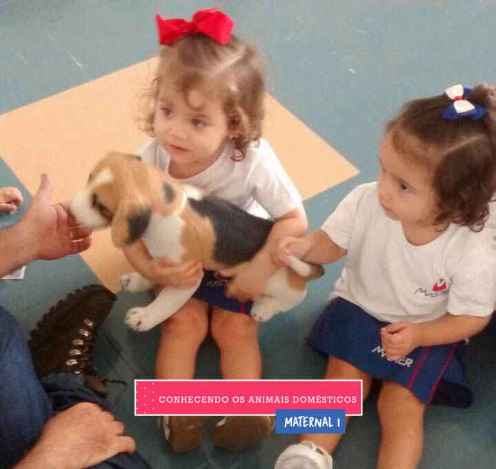 WhatsApp Image 2017-09-01 at 15.58.06