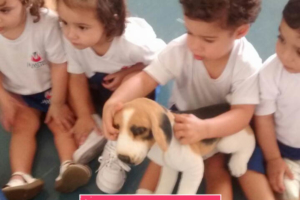 WhatsApp Image 2017-09-01 at 15.58.16