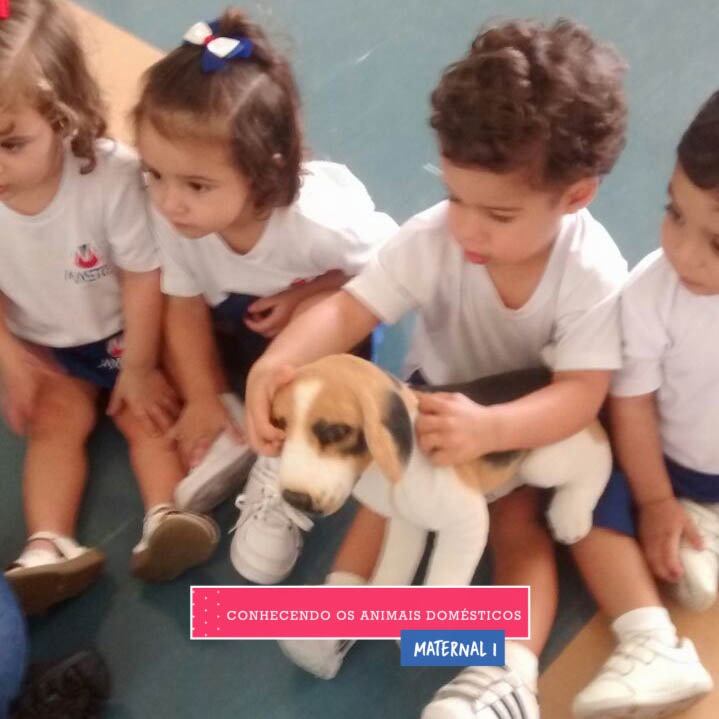 WhatsApp Image 2017-09-01 at 15.58.16