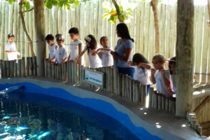 WhatsApp Image 2018-02-23 at 08.06.28 (1) WhatsApp Image 2018-02-23 at 08.06.28 (1)