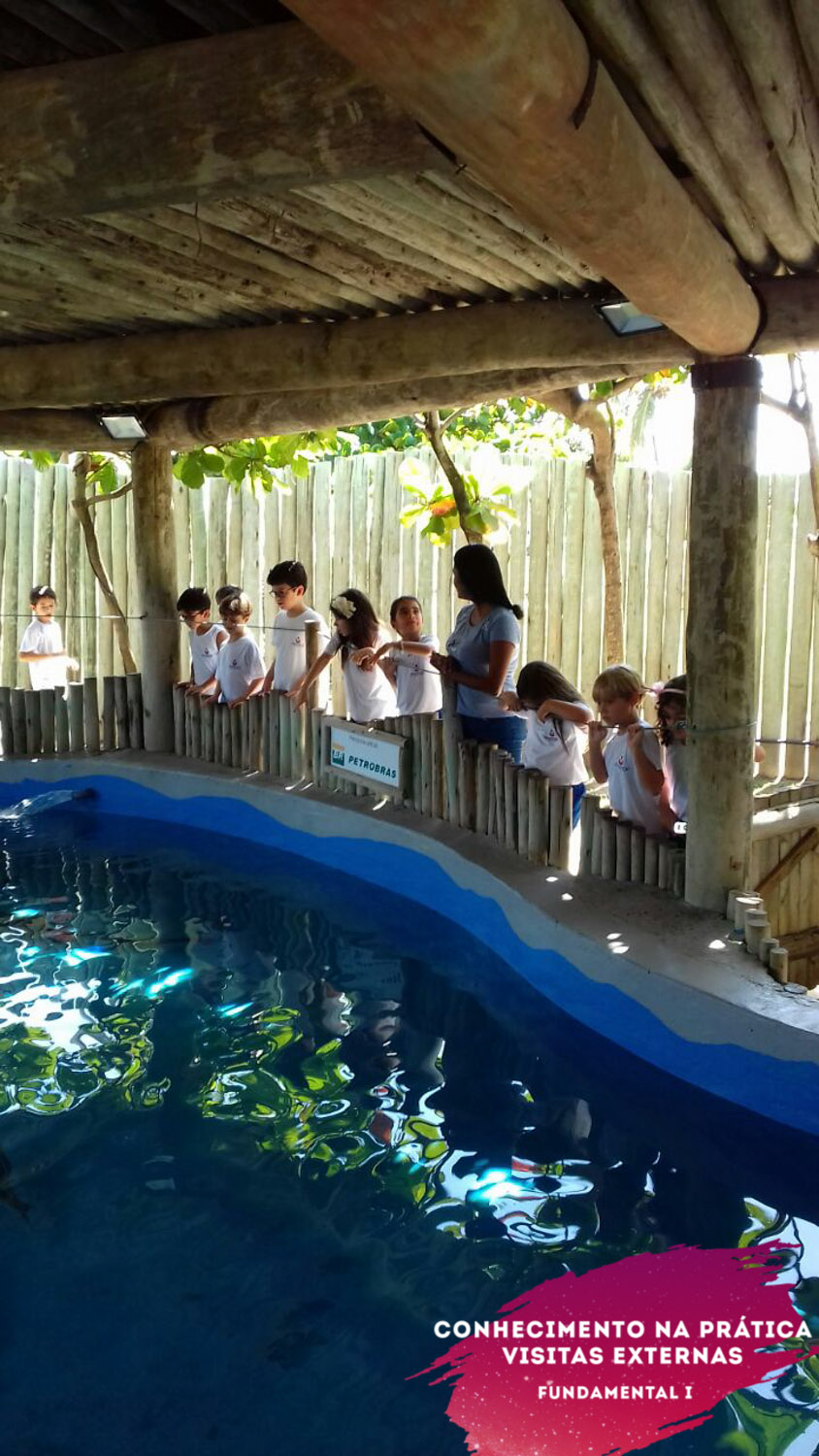 WhatsApp Image 2018-02-23 at 08.06.28 (1) WhatsApp Image 2018-02-23 at 08.06.28 (1)