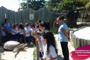 WhatsApp Image 2018-02-23 at 08.06.28 WhatsApp Image 2018-02-23 at 08.06.28