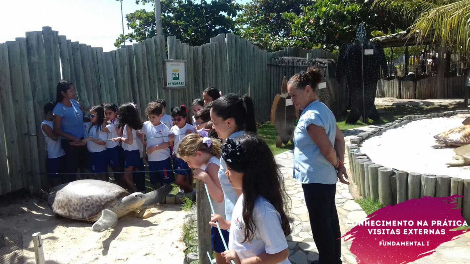 WhatsApp Image 2018-02-23 at 08.06.28 WhatsApp Image 2018-02-23 at 08.06.28