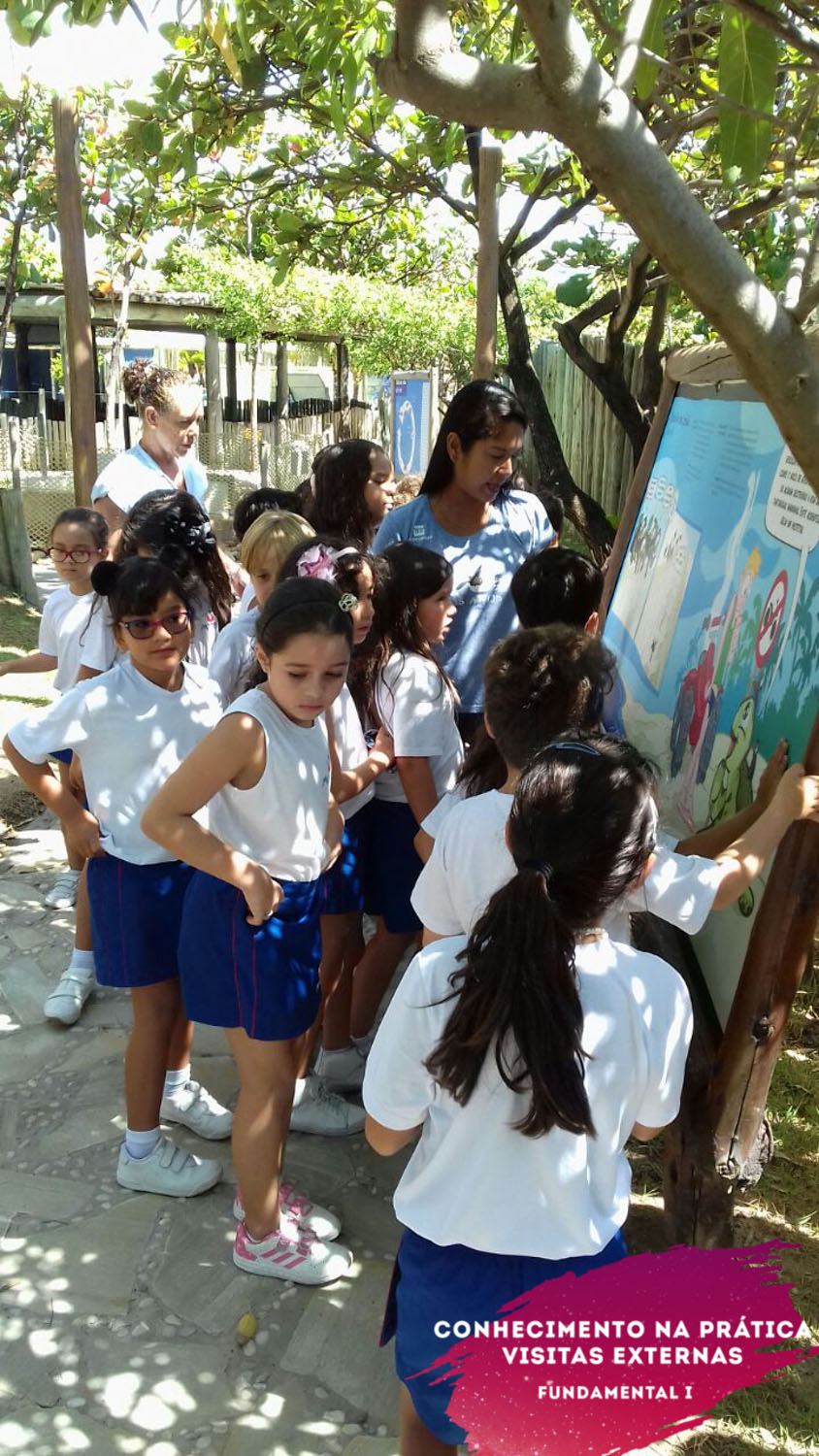 WhatsApp Image 2018-02-23 at 08.06.29 (1) WhatsApp Image 2018-02-23 at 08.06.29 (1)