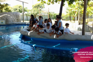 WhatsApp Image 2018-02-23 at 08.06.29 (2) WhatsApp Image 2018-02-23 at 08.06.29 (2)