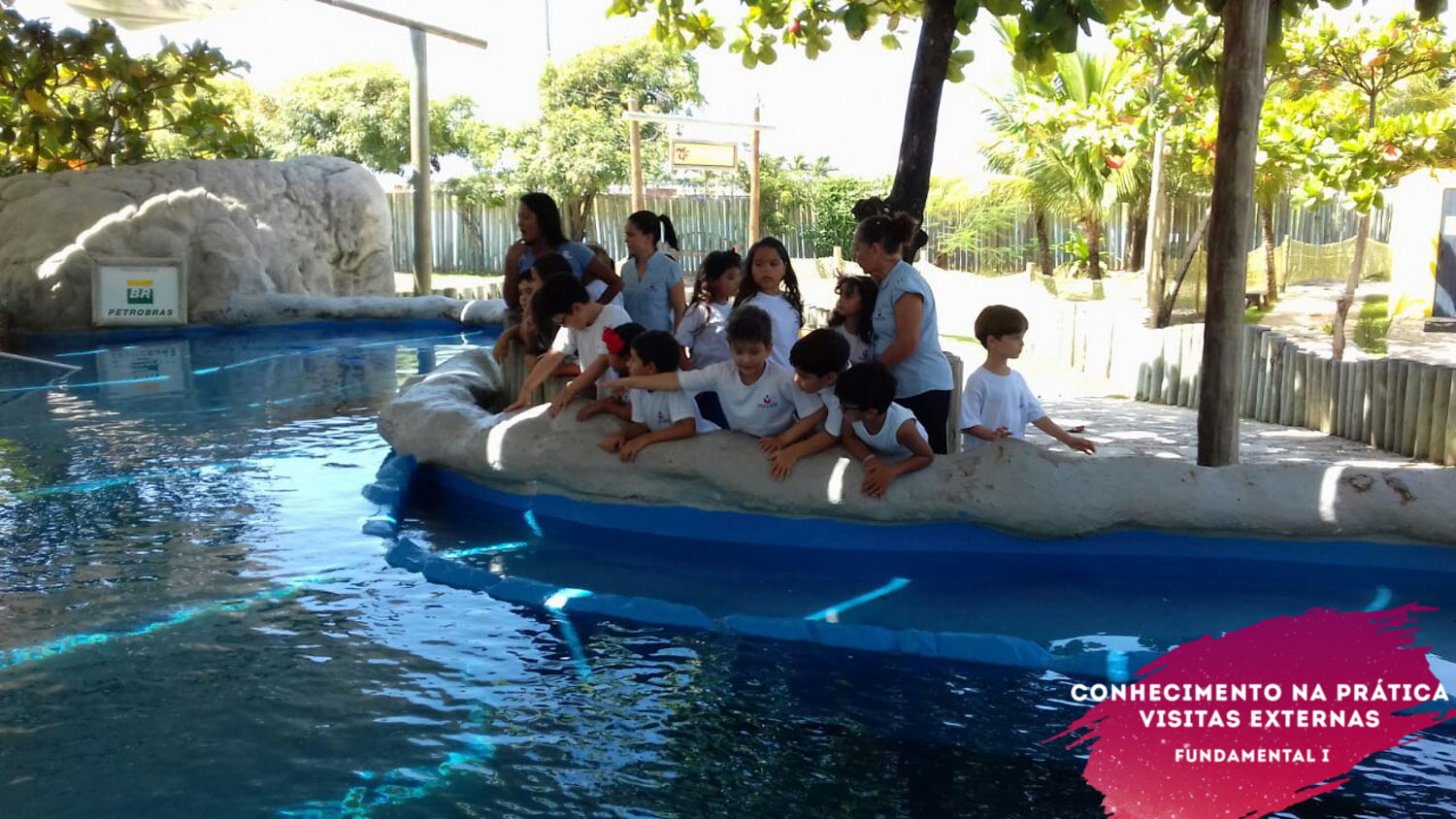 WhatsApp Image 2018-02-23 at 08.06.29 (2) WhatsApp Image 2018-02-23 at 08.06.29 (2)