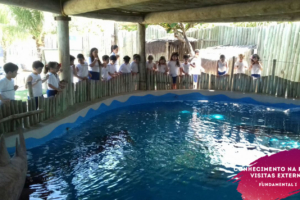 WhatsApp Image 2018-02-23 at 08.06.29 WhatsApp Image 2018-02-23 at 08.06.29