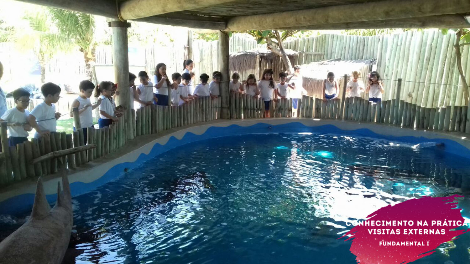 WhatsApp Image 2018-02-23 at 08.06.29 WhatsApp Image 2018-02-23 at 08.06.29