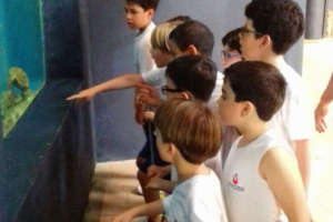 WhatsApp Image 2018-02-23 at 08.06.31 (1) WhatsApp Image 2018-02-23 at 08.06.31 (1)