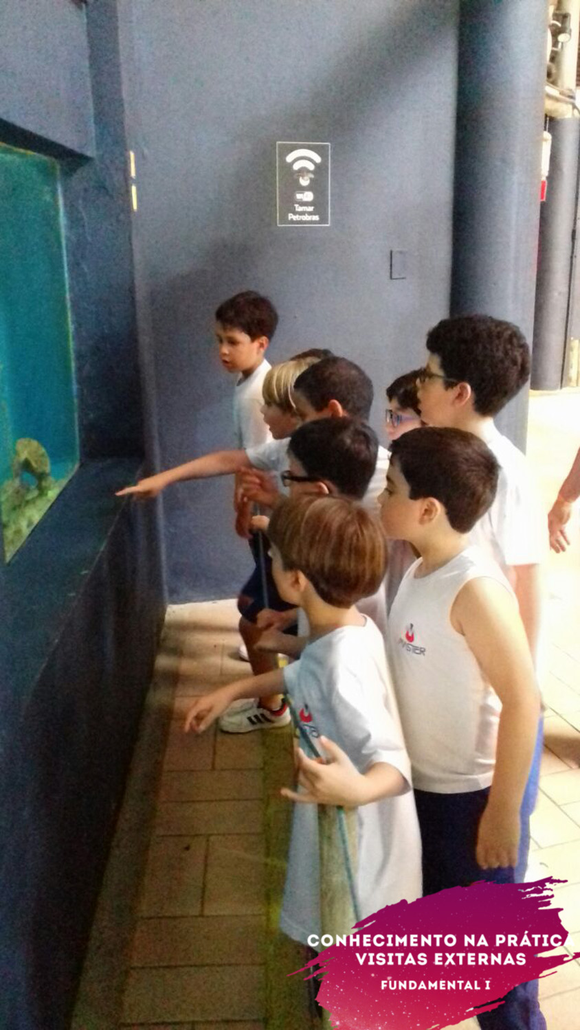 WhatsApp Image 2018-02-23 at 08.06.31 (1) WhatsApp Image 2018-02-23 at 08.06.31 (1)