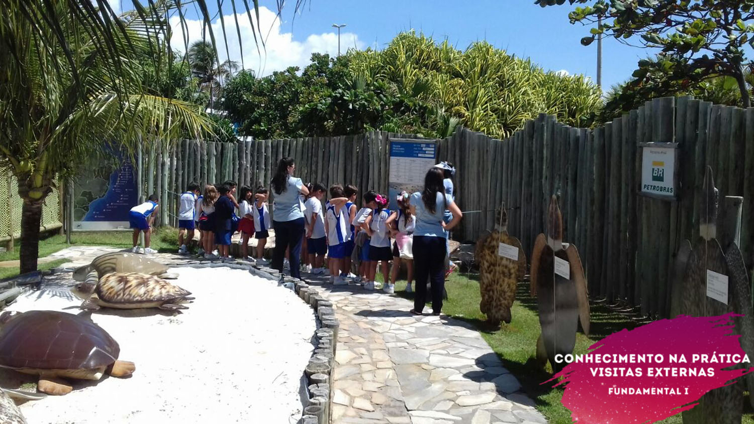 WhatsApp Image 2018-02-23 at 08.06.31 (2) WhatsApp Image 2018-02-23 at 08.06.31 (2)