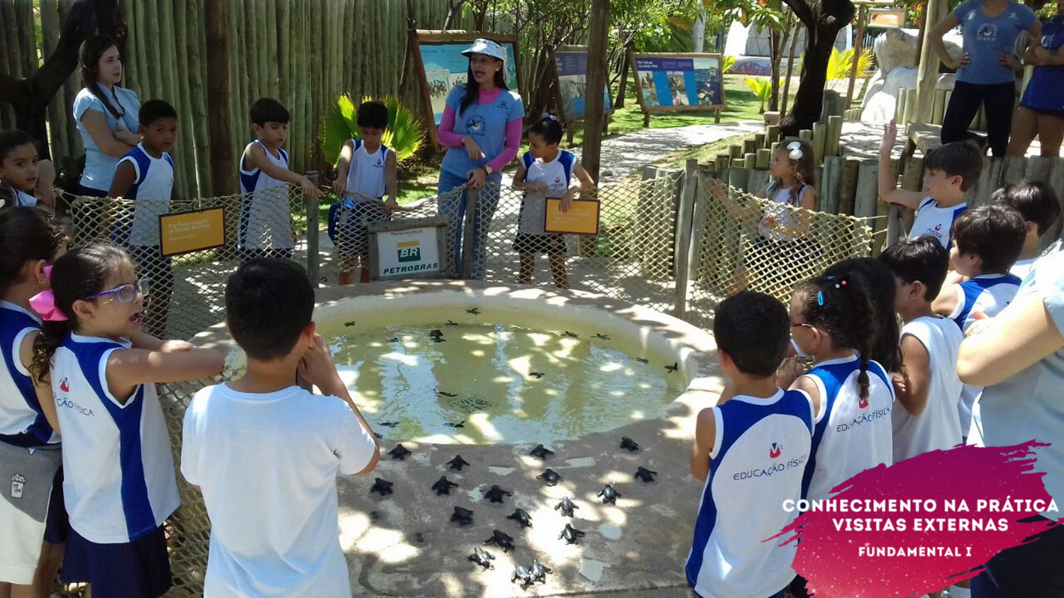 WhatsApp Image 2018-02-23 at 08.06.31 (3) WhatsApp Image 2018-02-23 at 08.06.31 (3)