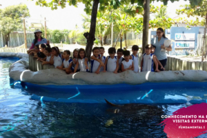 WhatsApp Image 2018-02-23 at 08.06.31 (4) WhatsApp Image 2018-02-23 at 08.06.31 (4)