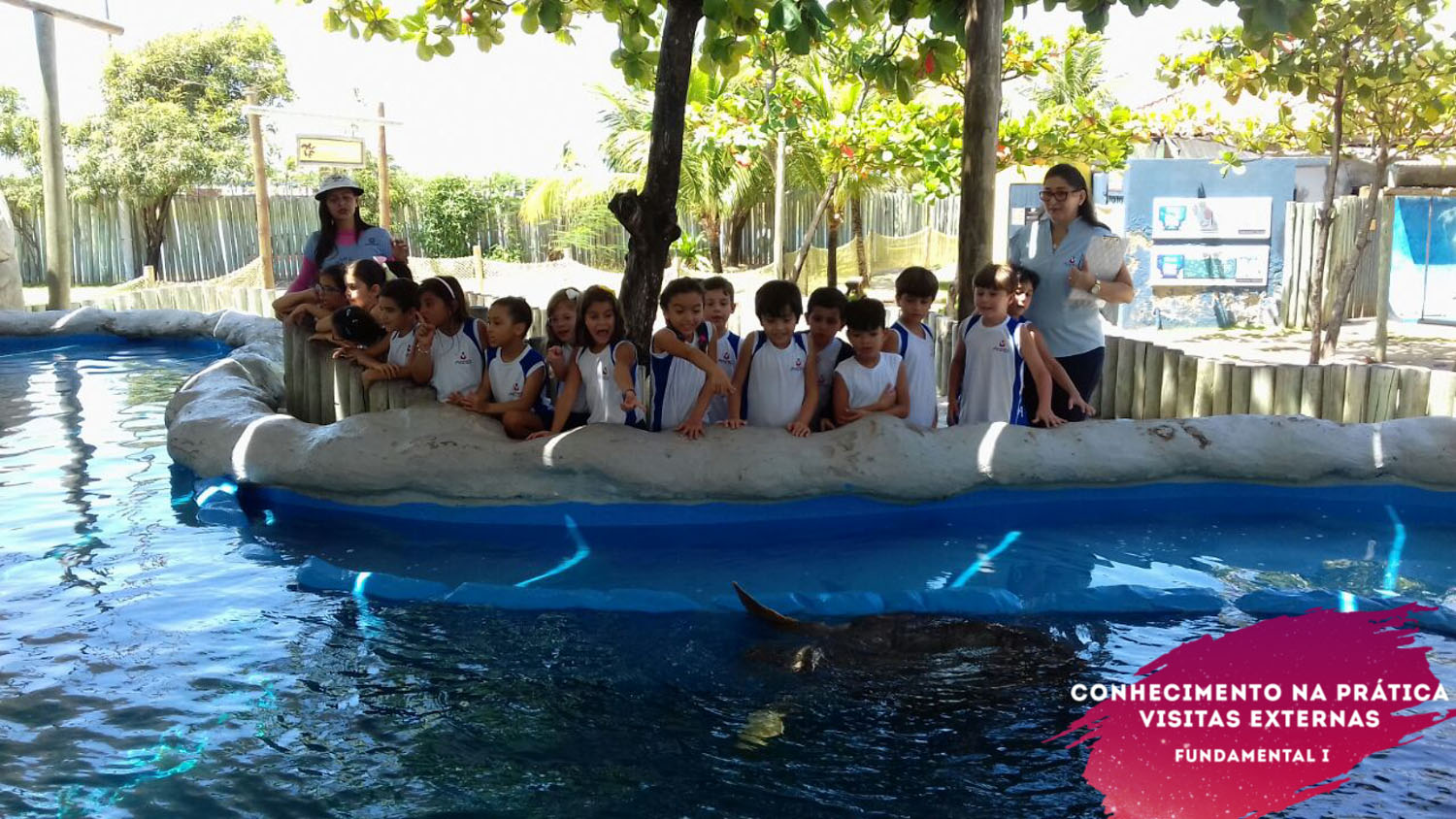 WhatsApp Image 2018-02-23 at 08.06.31 (4) WhatsApp Image 2018-02-23 at 08.06.31 (4)