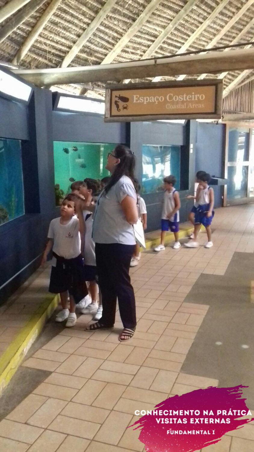 WhatsApp Image 2018-02-23 at 08.06.32 (1) WhatsApp Image 2018-02-23 at 08.06.32 (1)