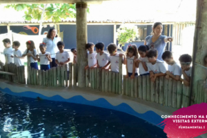 WhatsApp Image 2018-02-23 at 08.06.32 (4) WhatsApp Image 2018-02-23 at 08.06.32 (4)