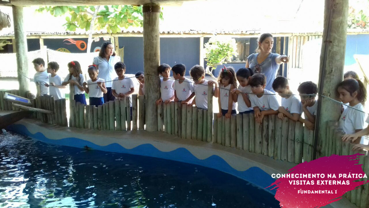 WhatsApp Image 2018-02-23 at 08.06.32 (4) WhatsApp Image 2018-02-23 at 08.06.32 (4)