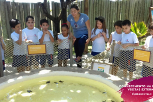 WhatsApp Image 2018-02-23 at 08.06.33 (1) WhatsApp Image 2018-02-23 at 08.06.33 (1)