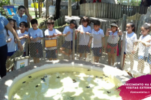 WhatsApp Image 2018-02-23 at 08.06.33 (2) WhatsApp Image 2018-02-23 at 08.06.33 (2)