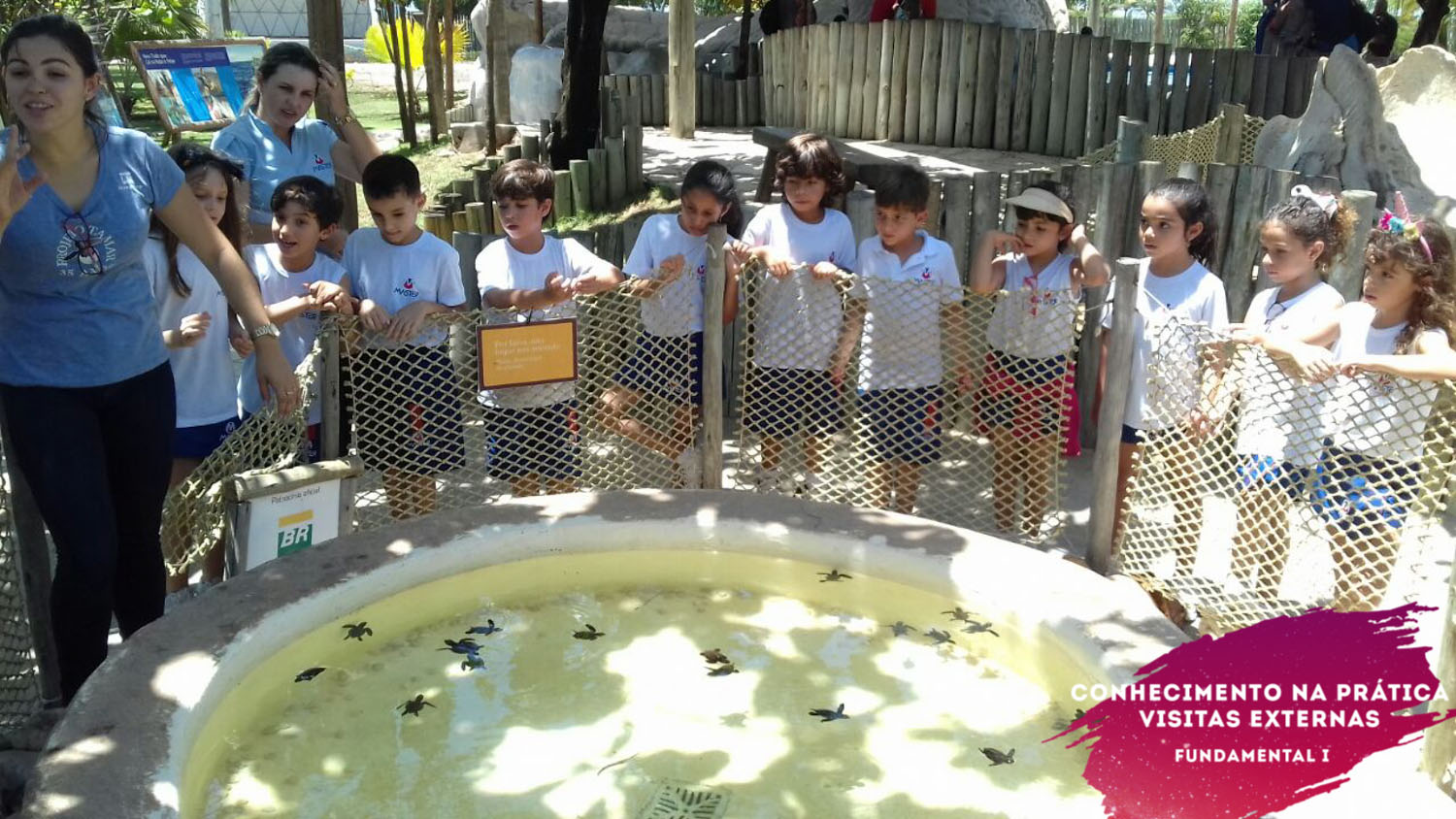 WhatsApp Image 2018-02-23 at 08.06.33 (2) WhatsApp Image 2018-02-23 at 08.06.33 (2)