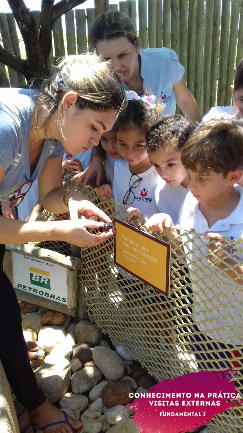 WhatsApp Image 2018-02-23 at 08.06.33 (3) WhatsApp Image 2018-02-23 at 08.06.33 (3)