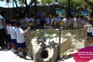 WhatsApp Image 2018-02-23 at 08.06.33 WhatsApp Image 2018-02-23 at 08.06.33