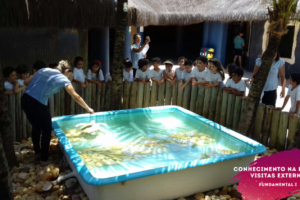 WhatsApp Image 2018-02-23 at 08.06.33 (4) WhatsApp Image 2018-02-23 at 08.06.33 (4)