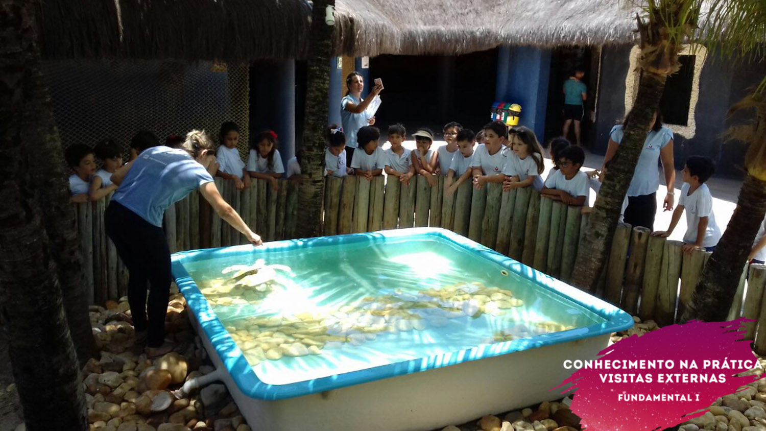 WhatsApp Image 2018-02-23 at 08.06.33 (4) WhatsApp Image 2018-02-23 at 08.06.33 (4)