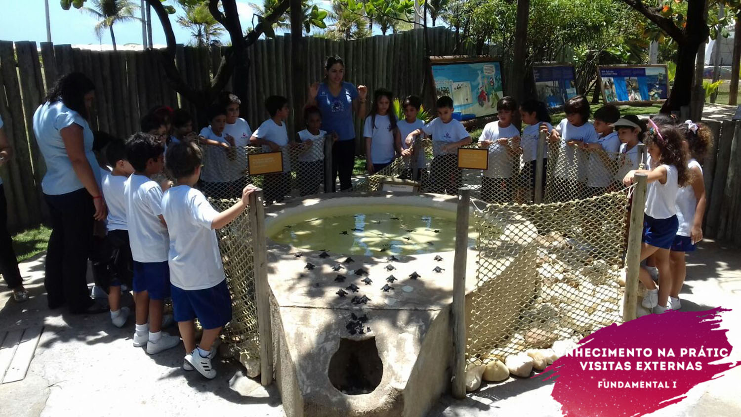 WhatsApp Image 2018-02-23 at 08.06.33 WhatsApp Image 2018-02-23 at 08.06.33