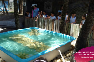 WhatsApp Image 2018-02-23 at 08.06.34 (2) WhatsApp Image 2018-02-23 at 08.06.34 (2)