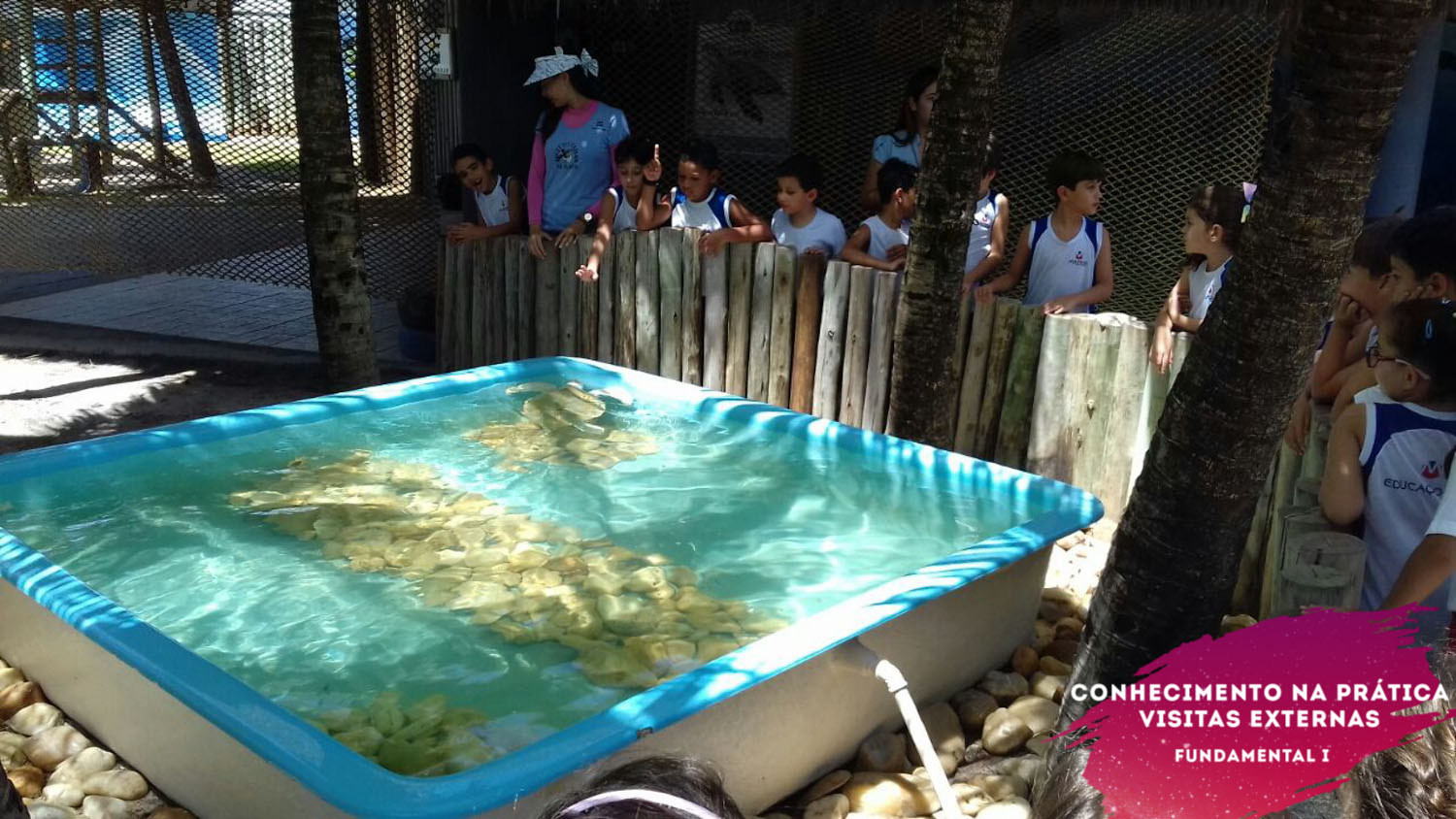 WhatsApp Image 2018-02-23 at 08.06.34 (2) WhatsApp Image 2018-02-23 at 08.06.34 (2)