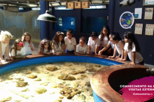 WhatsApp Image 2018-02-23 at 08.06.34 (3) WhatsApp Image 2018-02-23 at 08.06.34 (3)