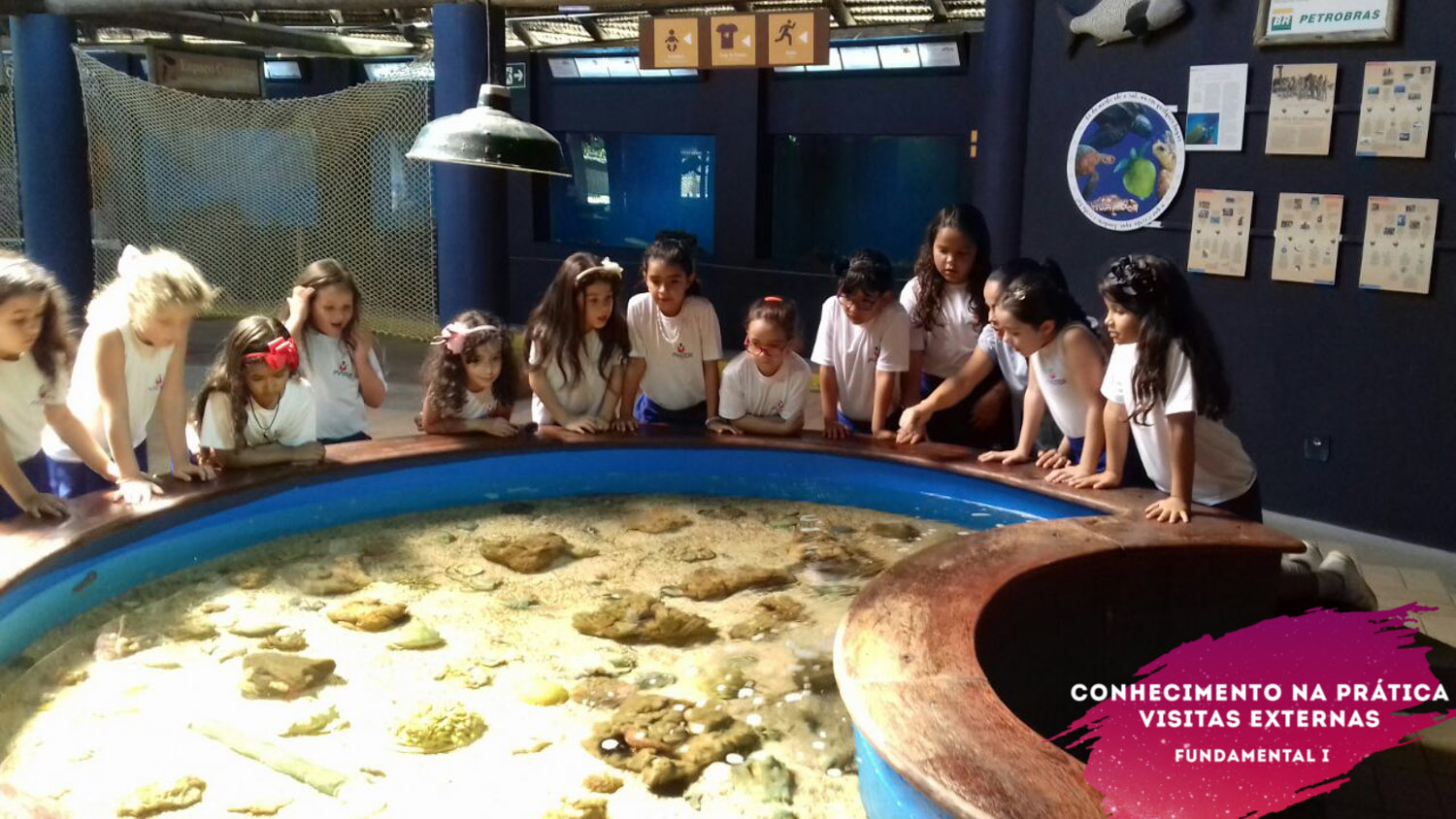 WhatsApp Image 2018-02-23 at 08.06.34 (3) WhatsApp Image 2018-02-23 at 08.06.34 (3)