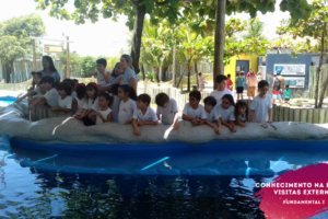 WhatsApp Image 2018-02-23 at 08.06.34 WhatsApp Image 2018-02-23 at 08.06.34