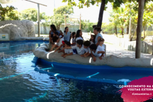 WhatsApp Image 2018-02-23 at 08.06.34 (4) WhatsApp Image 2018-02-23 at 08.06.34 (4)