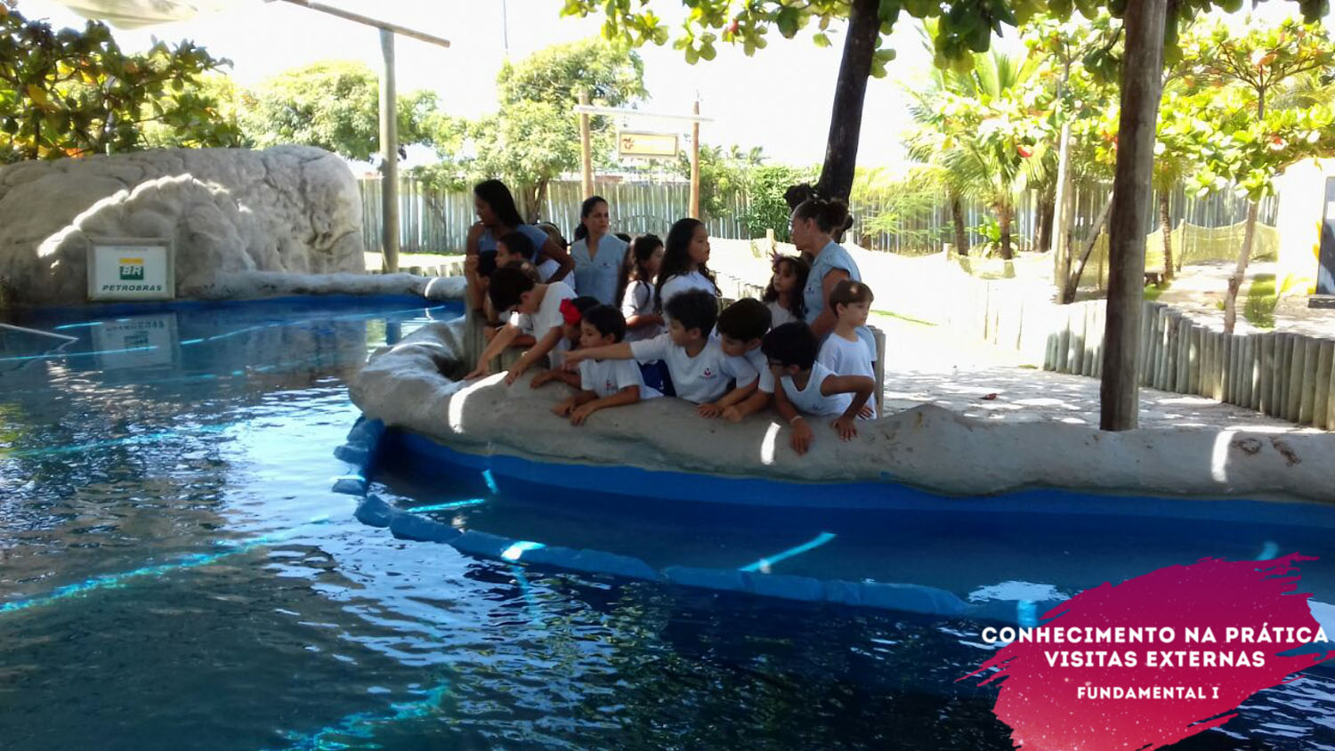 WhatsApp Image 2018-02-23 at 08.06.34 (4) WhatsApp Image 2018-02-23 at 08.06.34 (4)