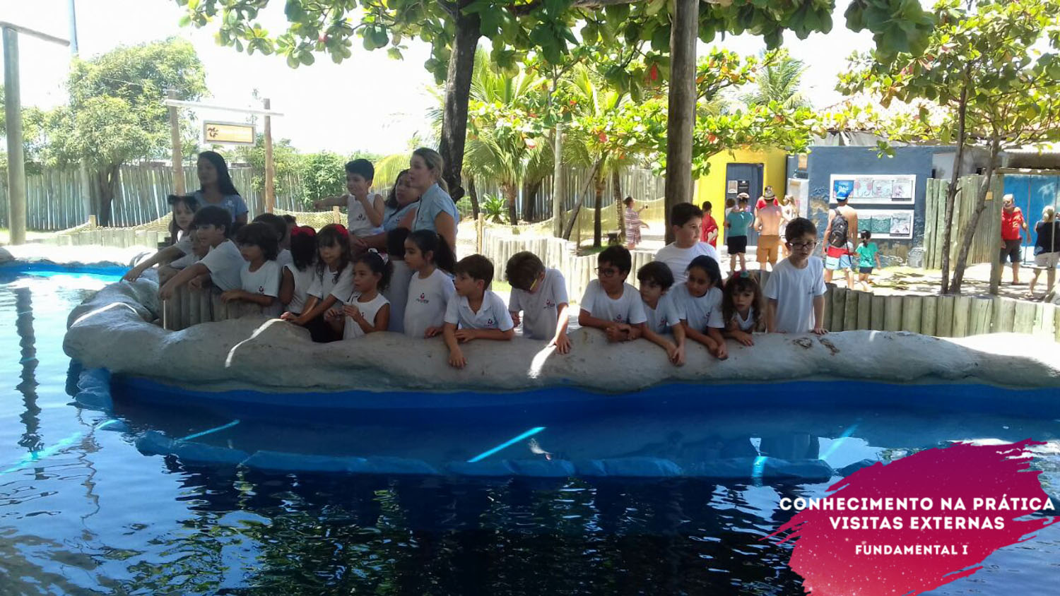 WhatsApp Image 2018-02-23 at 08.06.34 WhatsApp Image 2018-02-23 at 08.06.34