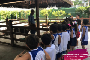 WhatsApp Image 2018-02-23 at 08.06.45 (3) WhatsApp Image 2018-02-23 at 08.06.45 (3)