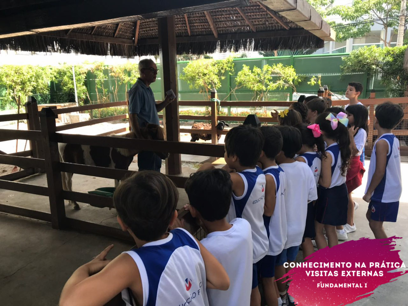 WhatsApp Image 2018-02-23 at 08.06.45 (3) WhatsApp Image 2018-02-23 at 08.06.45 (3)