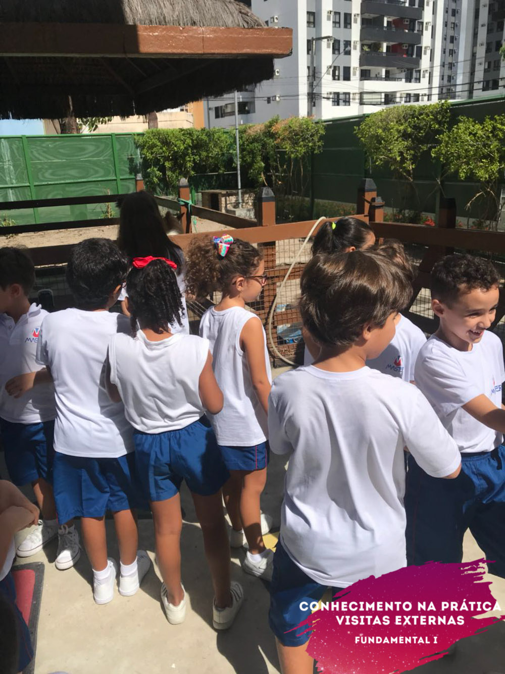 WhatsApp Image 2018-02-23 at 08.06.45 WhatsApp Image 2018-02-23 at 08.06.45