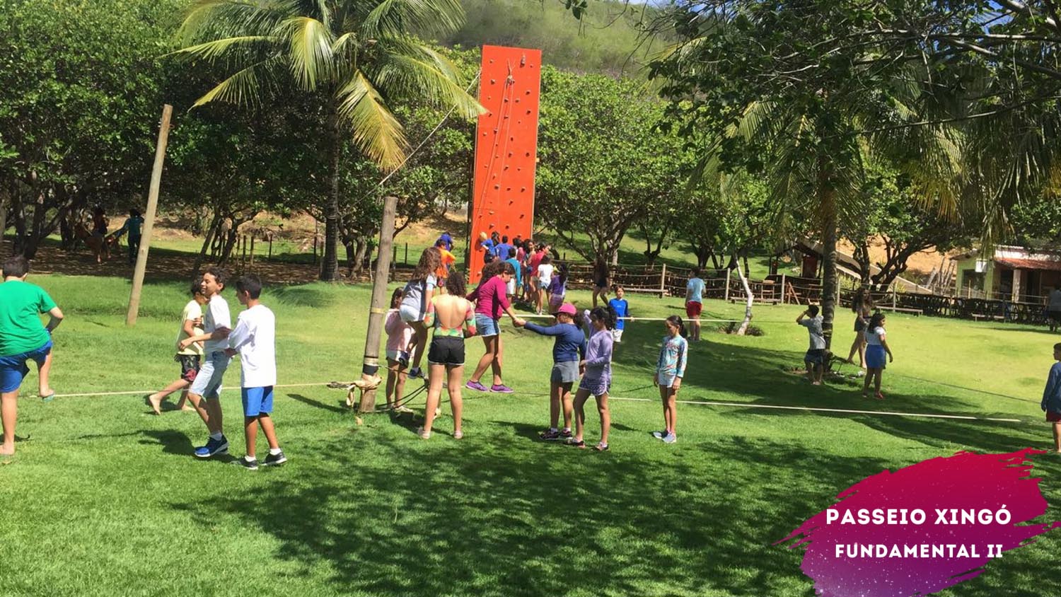 WhatsApp Image 2018-05-26 at 21.43.57 (1)