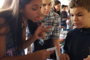 WhatsApp Image 2018-06-06 at 14.19.22 WhatsApp Image 2018-06-06 at 14.19.22