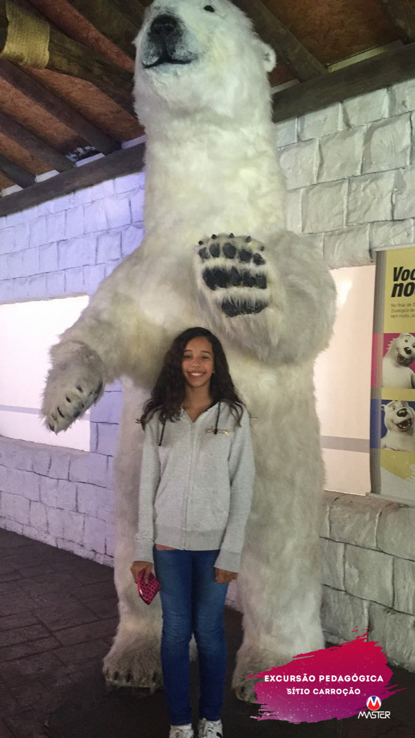 WhatsApp Image 2018-09-06 at 11.33.37 WhatsApp Image 2018-09-06 at 11.33.37