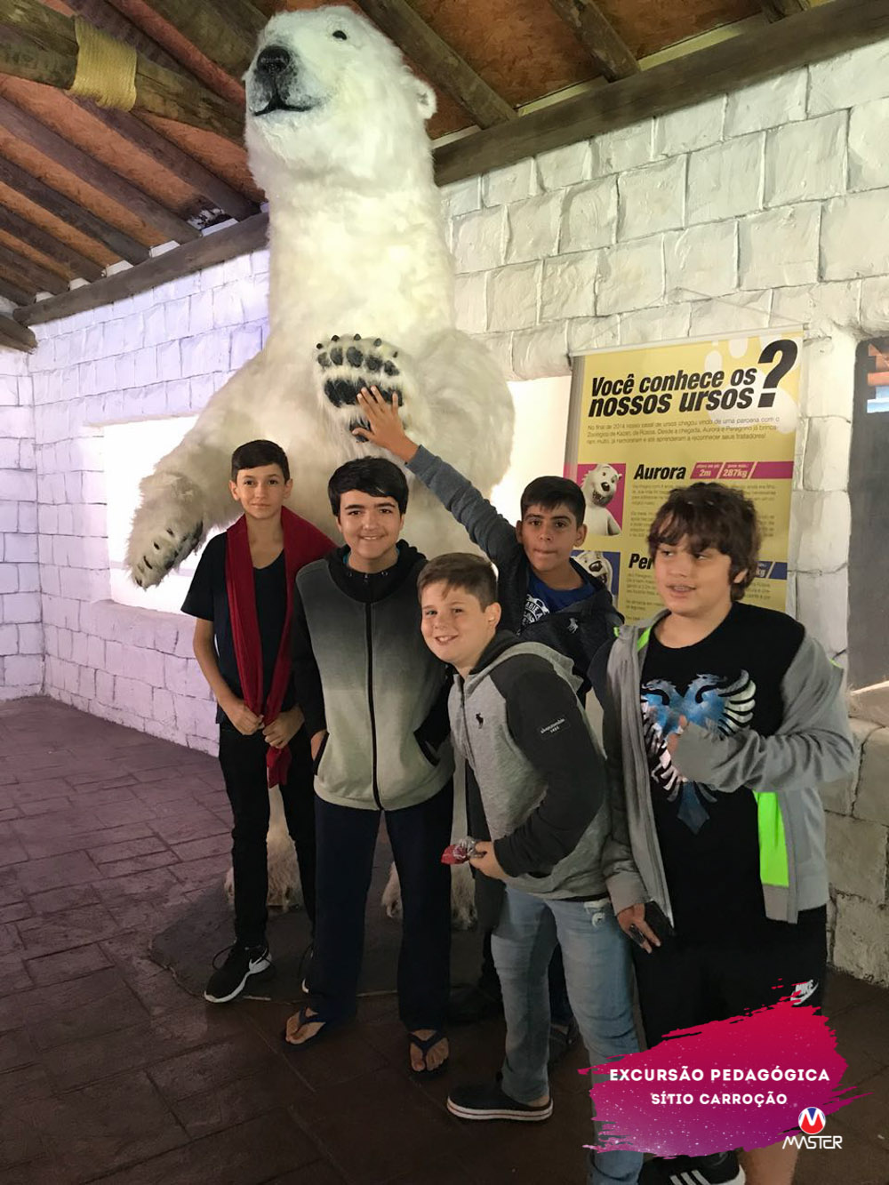 WhatsApp Image 2018-09-06 at 11.33.38 WhatsApp Image 2018-09-06 at 11.33.38