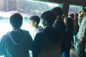 WhatsApp Image 2018-09-06 at 11.33.40 (1) WhatsApp Image 2018-09-06 at 11.33.40 (1)