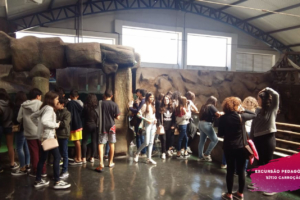 WhatsApp Image 2018-09-06 at 11.33.41 (1) WhatsApp Image 2018-09-06 at 11.33.41 (1)