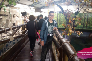 WhatsApp Image 2018-09-06 at 11.33.41 WhatsApp Image 2018-09-06 at 11.33.41