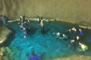 WhatsApp Image 2018-09-10 at 08.10.24 (1) WhatsApp Image 2018-09-10 at 08.10.24 (1)